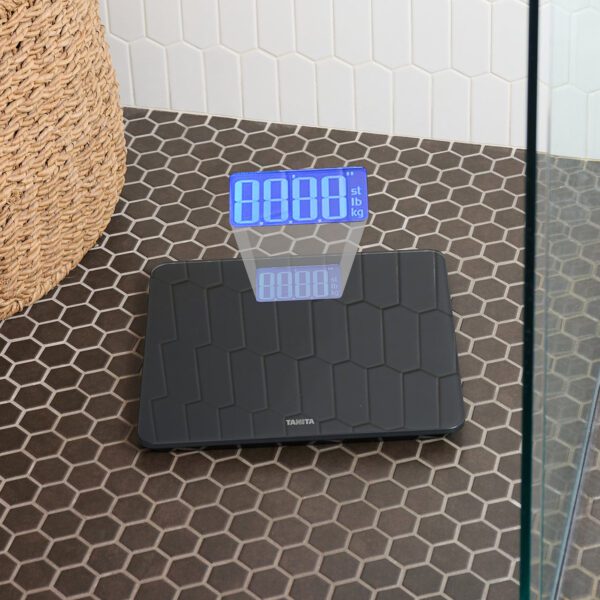 HD-366 Weighing Scale