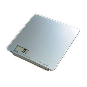 Digital Lithium Glass Scale