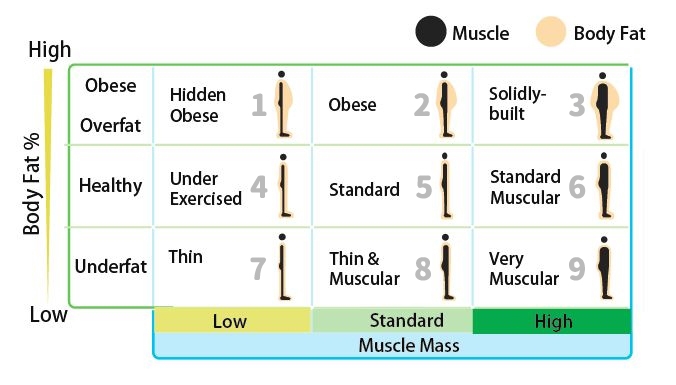 Physique Rating
