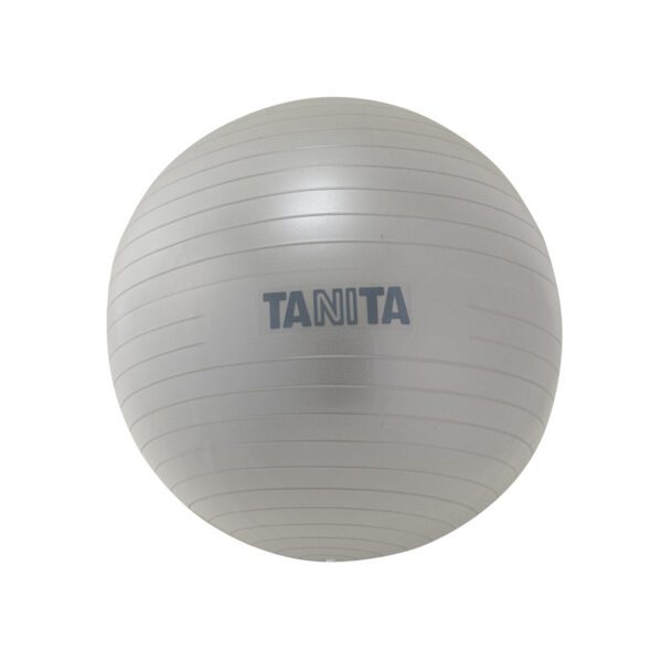 TANITA Gym Ball (65cm)