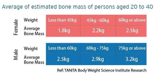 bone mass